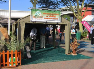 IMG_0048 (2)