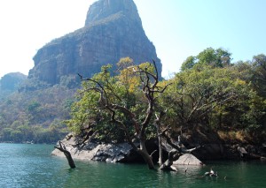 DSC_0260 (2)