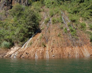 DSC_0263 (2)