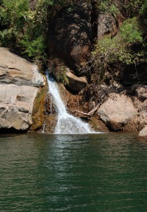 DSC_0265 (2)
