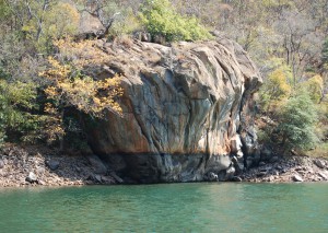 DSC_0278 (2)
